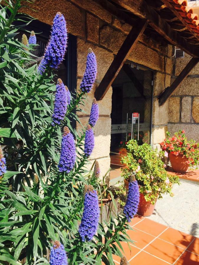 Casa Maximo Lägenhet Penafiel Exteriör bild
