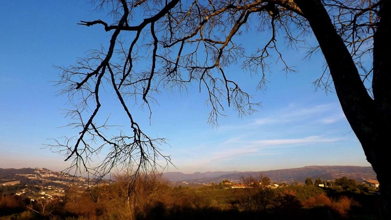 Casa Maximo Lägenhet Penafiel Exteriör bild